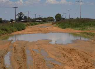 Dineo more blessing than curse for SA farmers