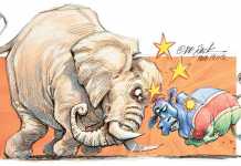Livestock farmers and elephants clash in Namibia