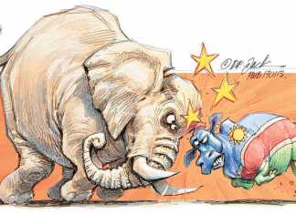 Livestock farmers and elephants clash in Namibia
