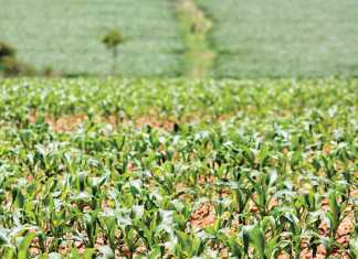Zimbabwe’s Land Commission still under debate