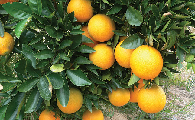 CGA Citrus Summit CGA Citrus Summit