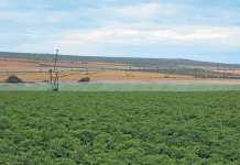 Farmers in the area are sensitive to water usage and adapt accordingly, so that farming remains sustainable.