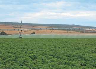 Farmers in the area are sensitive to water usage and adapt accordingly, so that farming remains sustainable.