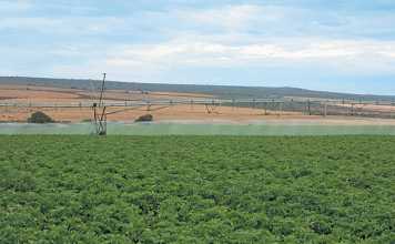 Farmers in the area are sensitive to water usage and adapt accordingly, so that farming remains sustainable.