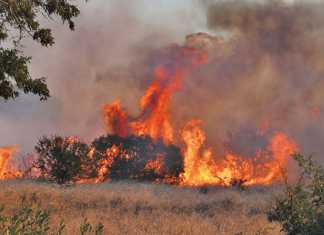 Veld fires remain a real danger to long-term sustainability