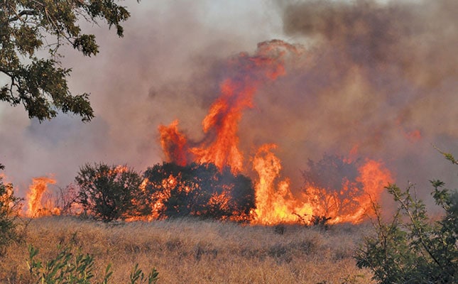 Veld fires remain a real danger to long-term sustainability Veld fires remain a real danger to long-term sustainability