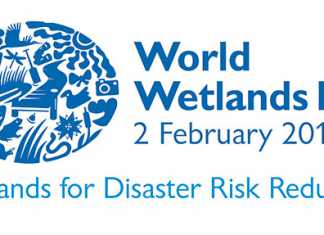 world-wetlands-day