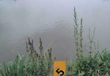 A small-scale farmer’s neatly numbered ponds.