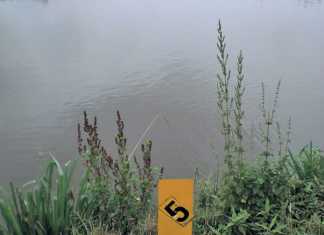 A small-scale farmer’s neatly numbered ponds.