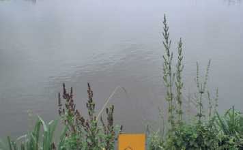 A small-scale farmer’s neatly numbered ponds.