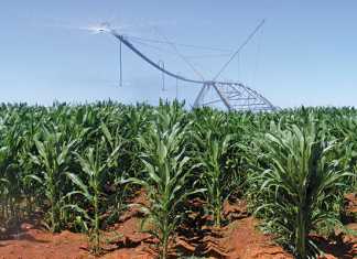 EU countries opt-out of GM crop cultivation