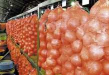 Joburg Fresh Produce Market hit by corruption Joburg Fresh Produce Market hit by corruption