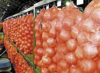 Joburg Fresh Produce Market hit by corruption