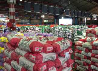 Allegations of collusion at fresh produce markets