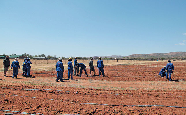 Farmers assist students with practical training Farmers assist students with practical training