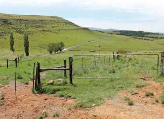 Cabinet reshuffle set to affect agriculture