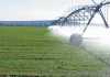 Addressing the risk of polluted irrigation water