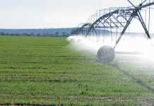 Addressing the risk of polluted irrigation water