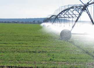 Addressing the risk of polluted irrigation water