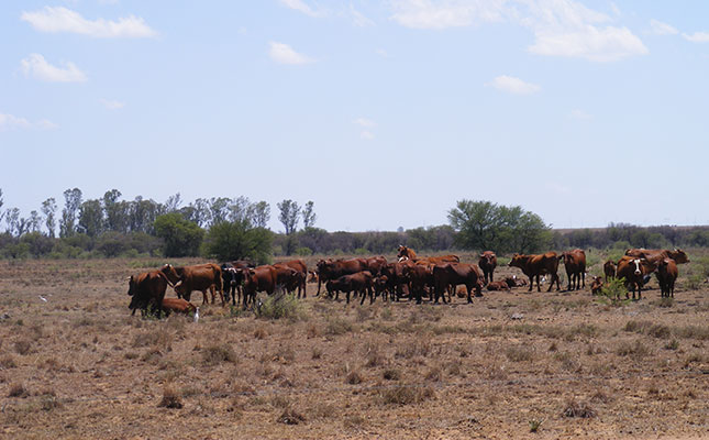 R380m budgeted for disaster relief not used for drought R380m budgeted for disaster relief not used for drought