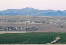 Controversial land ownership bill open for public comment