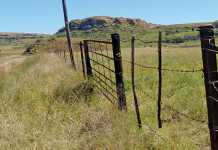 Nkwinti reassures landowners on compensation Nkwinti reassures landowners on compensation