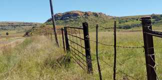 Nkwinti reassures landowners on compensation