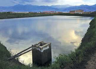 South Africa’s potential pond farming bonanza
