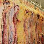 Red meat industry must control its own future