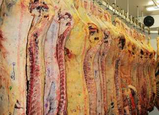 Red meat industry must control its own future