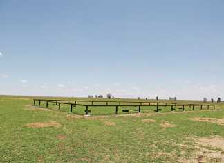rhino breeding