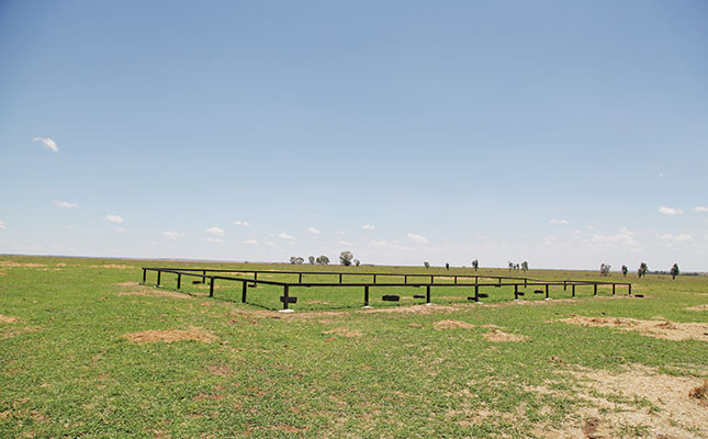 Is rhino breeding a potential gold mine for cattle farmers? Is rhino breeding a potential gold mine for cattle farmers?