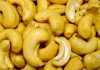 Kenyan cashew nut industry in dire straits