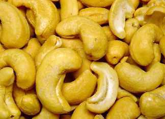 Kenyan cashew nut industry in dire straits Kenyan cashew nut industry in dire straits
