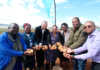 Eastern Cape potato co-ops cash in on commodity boom