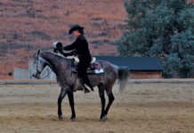 How to fix a ‘show sour’ horse