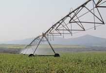 Labour minister to conduct inspections on KZN farms Labour minister to conduct inspections on KZN farms