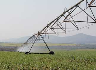 Labour minister to conduct inspections on KZN farms