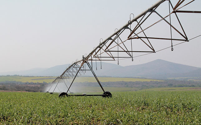 Labour minister to conduct inspections on KZN farms Labour minister to conduct inspections on KZN farms