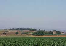 Land Bank to invest R1 billion in emerging farmers