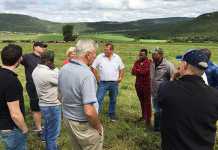 New Zealand experts share knowledge with SA dairy farmers New Zealand experts share knowledge with SA dairy farmers