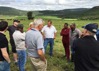 New Zealand experts share knowledge with SA dairy farmers