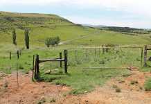 Deadline for comment on Land Holdings Bill extended