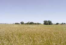 Farmers urged to stay calm and keep on farming Farmers urged to stay calm and keep on farming