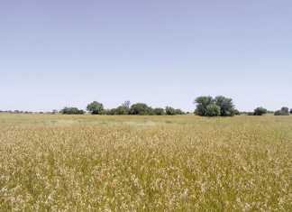 Farmers urged to stay calm and keep on farming