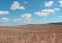 farm land