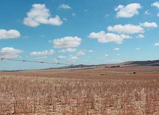 farm land