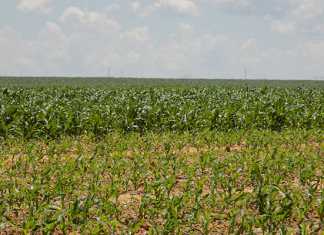 Increased possibility for an El Niño in SA