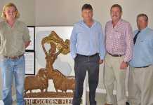 Record price for wool Record price for wool