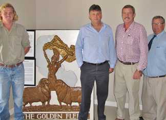 Record price for wool